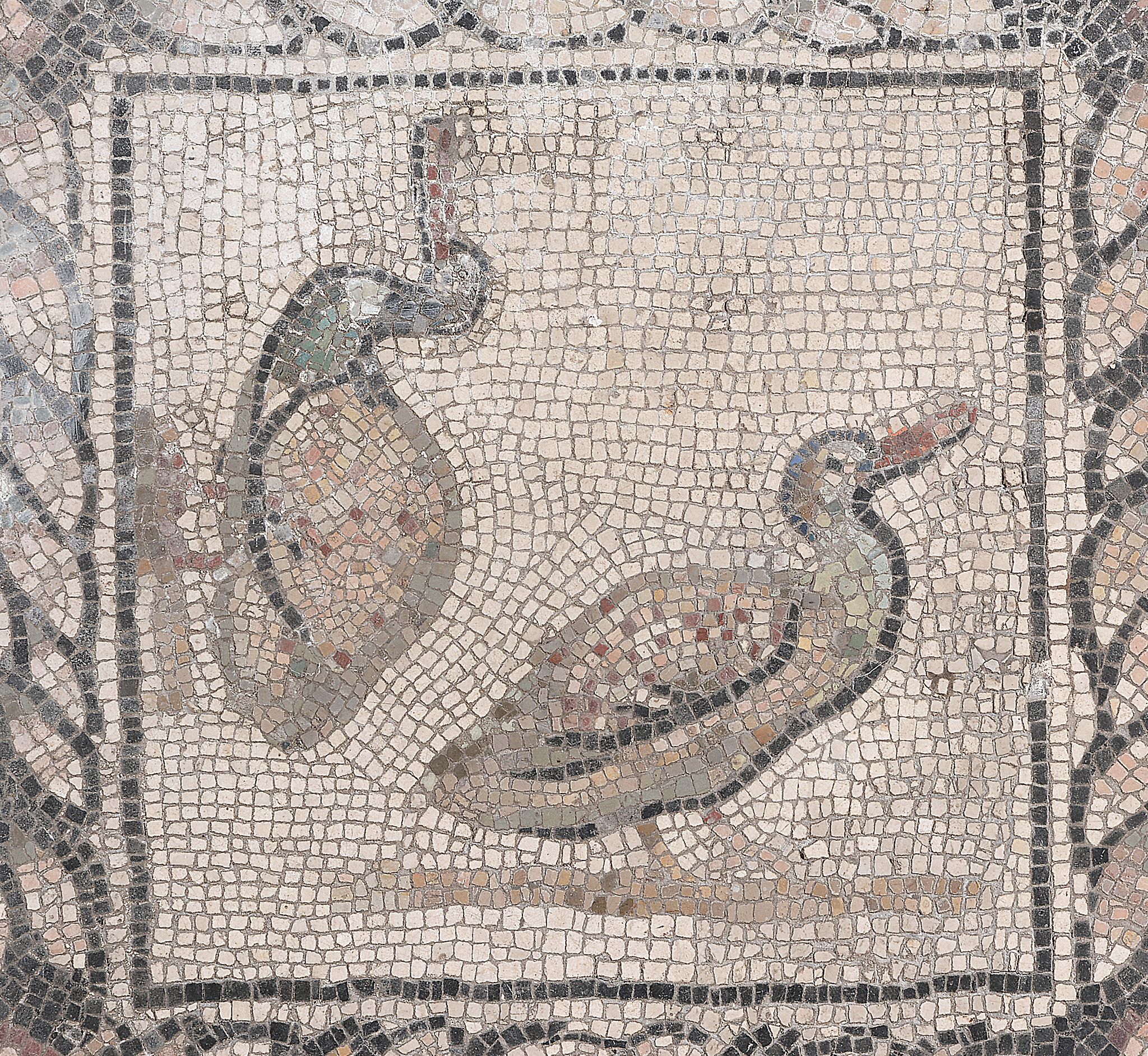 A Roman mosaic panel depicting two ducks, probably 2nd/3rd century A.D   A Roman mosaic panel - Image 2 of 6