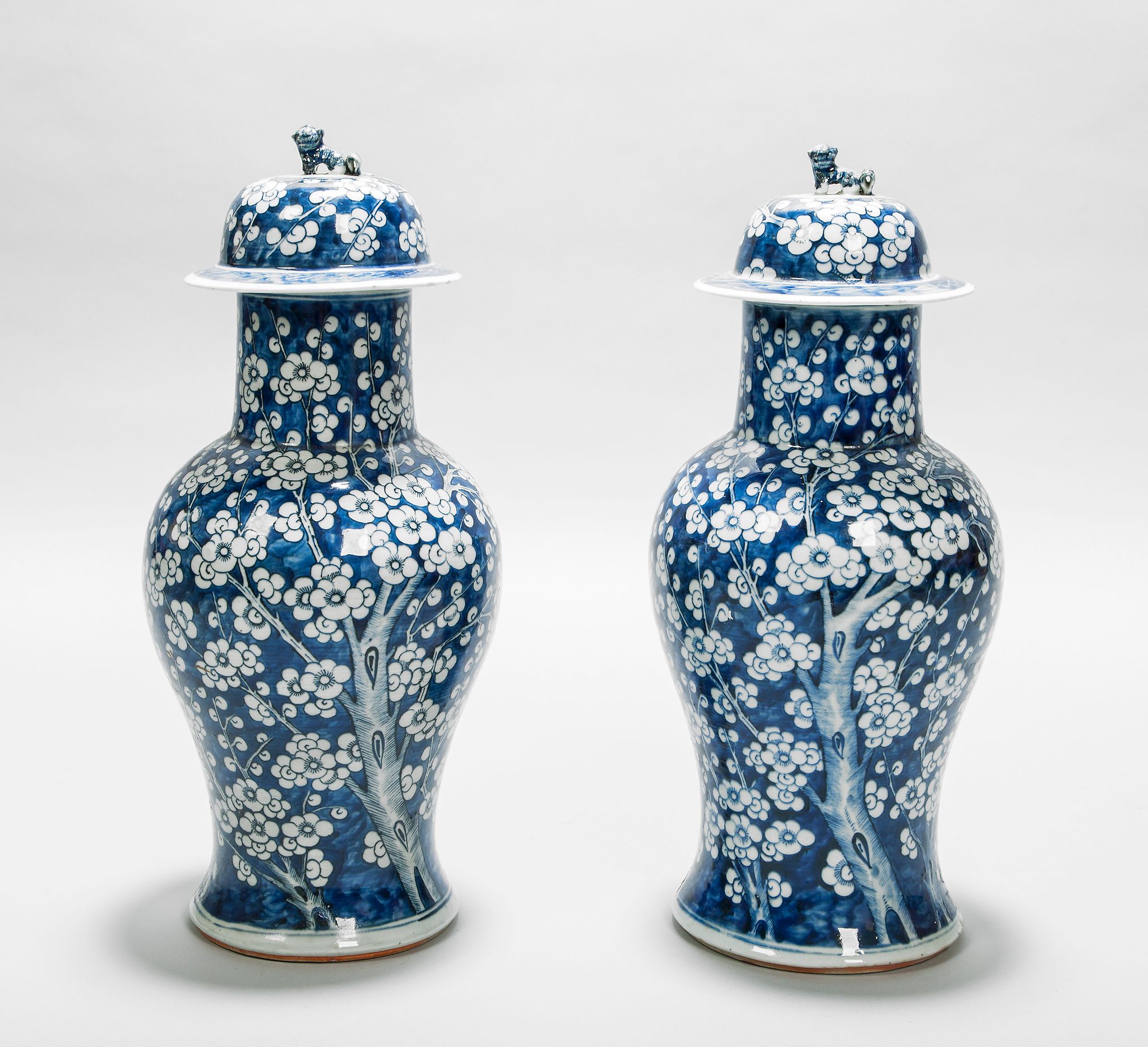 A Pair of 19th Century Chinese Blue and White Vases decorated with blossom