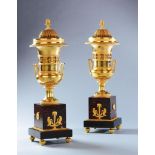 A Pair of French Empire Gilt Bronze Vases with applied foliate decoration, standing on rouge griotte