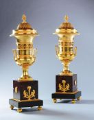 A Pair of French Empire Gilt Bronze Vases with applied foliate decoration, standing on rouge griotte