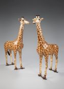 A Pair of 19th Century French Model Giraffes possibly made as fairground models , retaining the