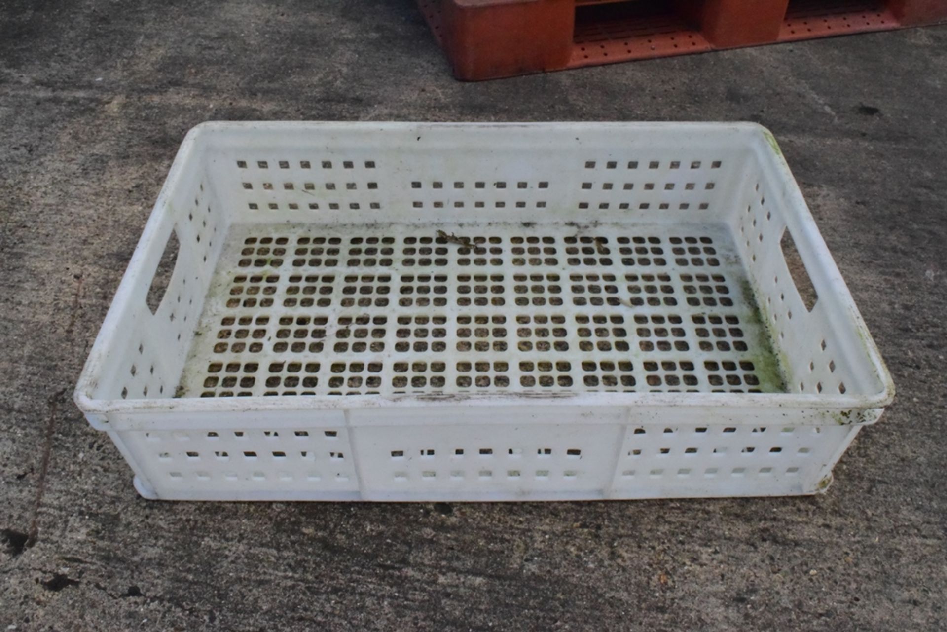 42 x plastic trays - 720 x 420. Lift out charge to be applied: £10 plus VAT