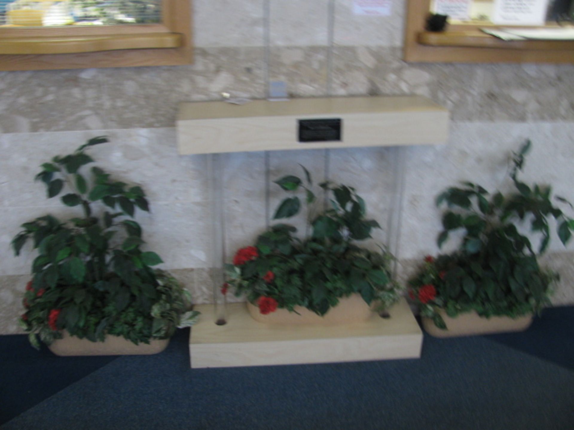 Contents of landing area to include wooden display stand, 6 potted plants, 2 fabric upholstered - Image 2 of 2