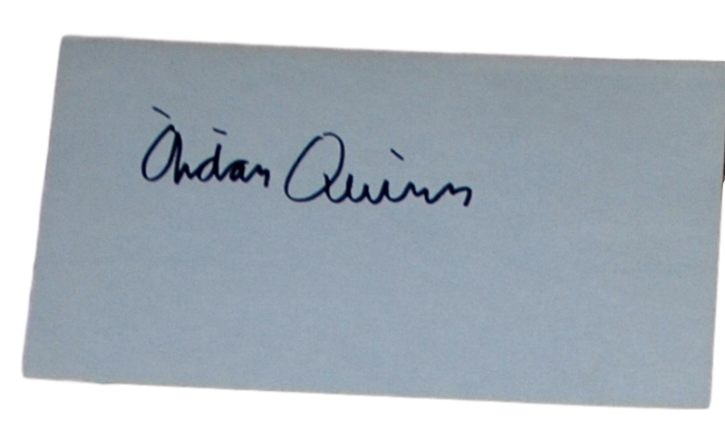 Aiden Quinn - Actor in Legends of the Fall, Desperately Seeking Susan, The Mission - Album Page