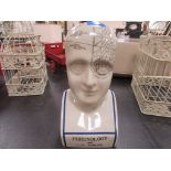 Large Phrenology head