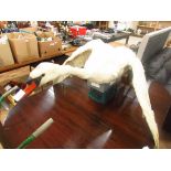 Taxidermy swan