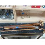 8 walking sticks