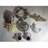 6x Vintage brooches and a pair of clip on earrings.