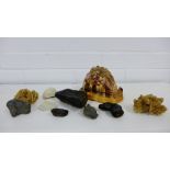 A mixed lot to include Quartz Geode, Dessert Rose, Dinosaur faeces and a large sea shell etc. (10)