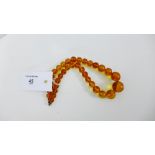 A strand of graduated amber beads with a yellow metal clasp fitting, length is 41cm, largest bead