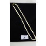 A single strand of cultured pearls with a 9 carat gold clasp, complete with fitted box