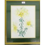 Clair Tulpie Botanical Watercolour, in glazed gilt frame