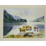 Roger Lee 'Highland Cattle at Glen Finnan' Watercolour, signed and in a glazed gilded frame, 61x