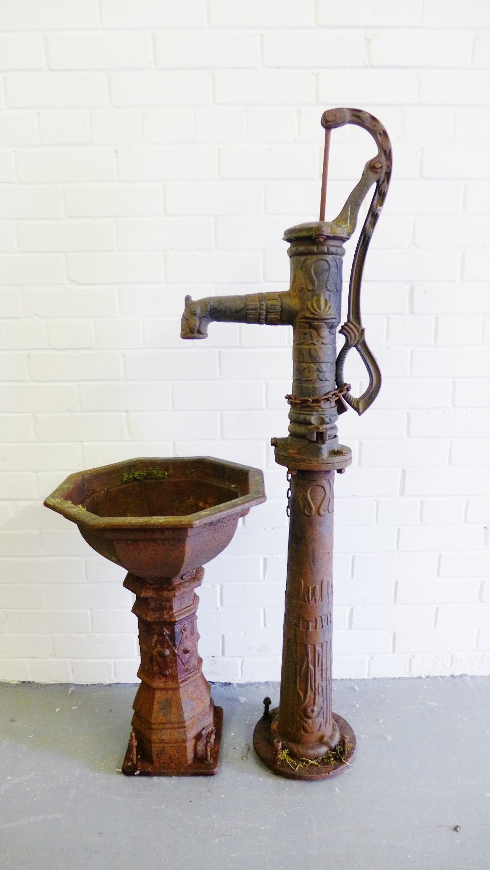 A cast iron water pump, the handle embossed with frogs and leaf decoration, together with a trough