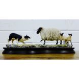 A Border Fine Arts model of a sheep dog, with ewe and lambs, signed Ayres, dated 1982, on a