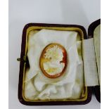 An unmounted carved shell cameo of oval form, in a fitted box, 3 x 2.5cm