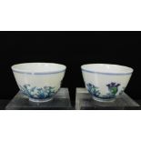 A pair of Chinese Wucai teabowls painted with flowers and foliage to a white ground with blue double