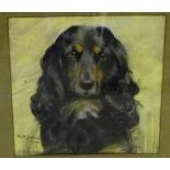 W.H. Beach Spaniel Signed, in glazed frame, 22 x 22cm