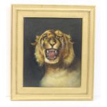 HS - Head of a tiger, oil on board, signed with initials and dated '81, 31 x 26cm