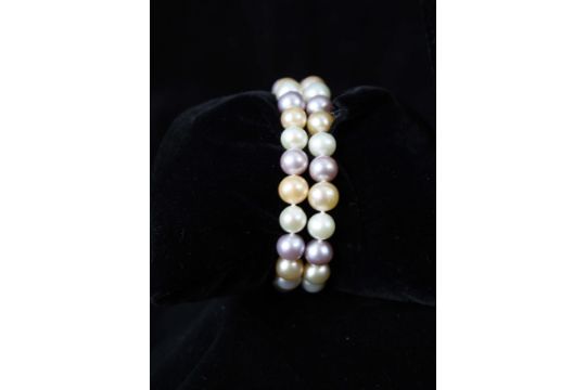 A fancy coloured cultured pearl choker necklace - Image 2 of 6