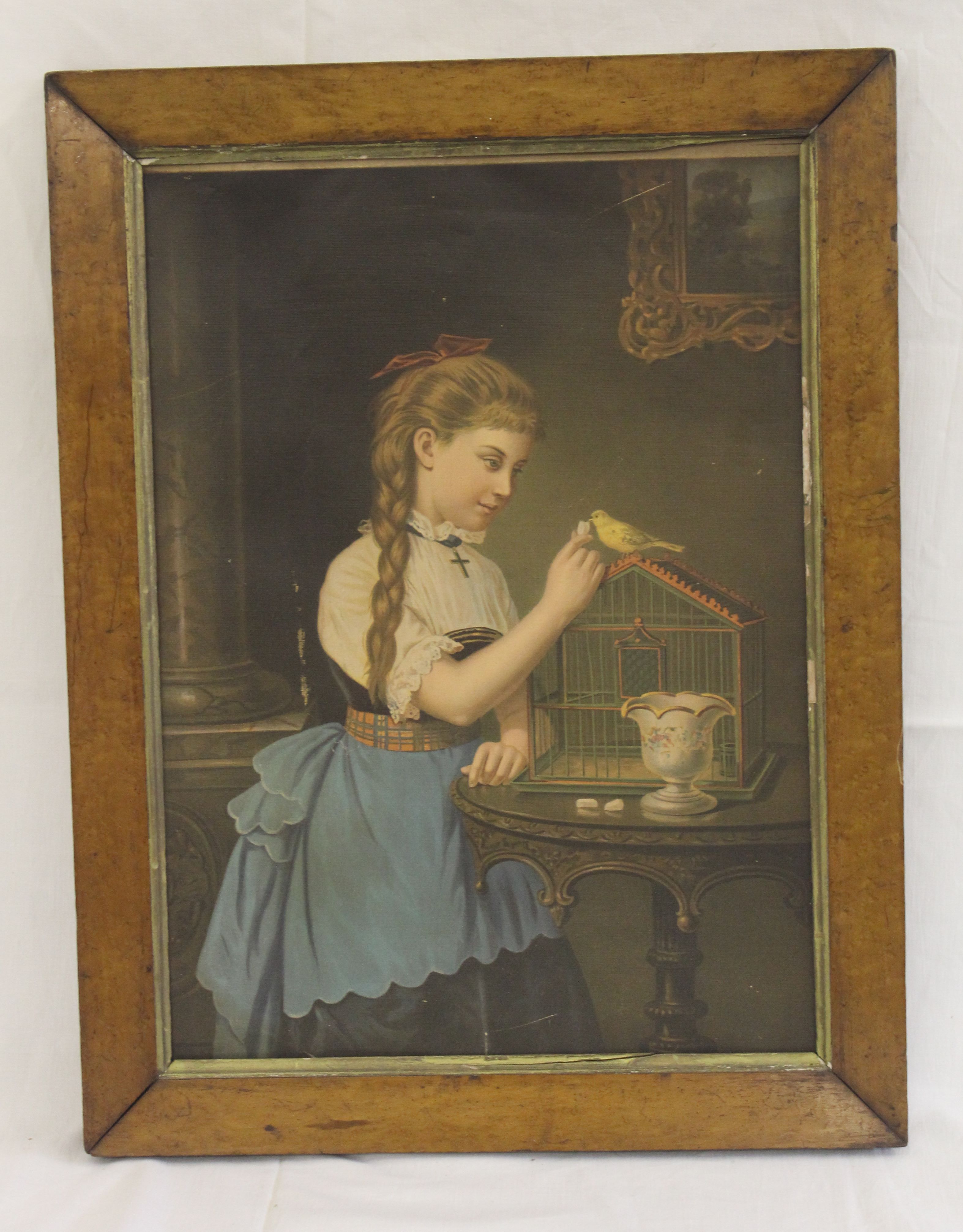 Victorian Oleograph - girl with canary and case, birdseye maple frame, 42 x 55cm including frame;