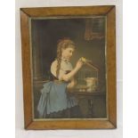 Victorian Oleograph - girl with canary and case, birdseye maple frame, 42 x 55cm including frame;
