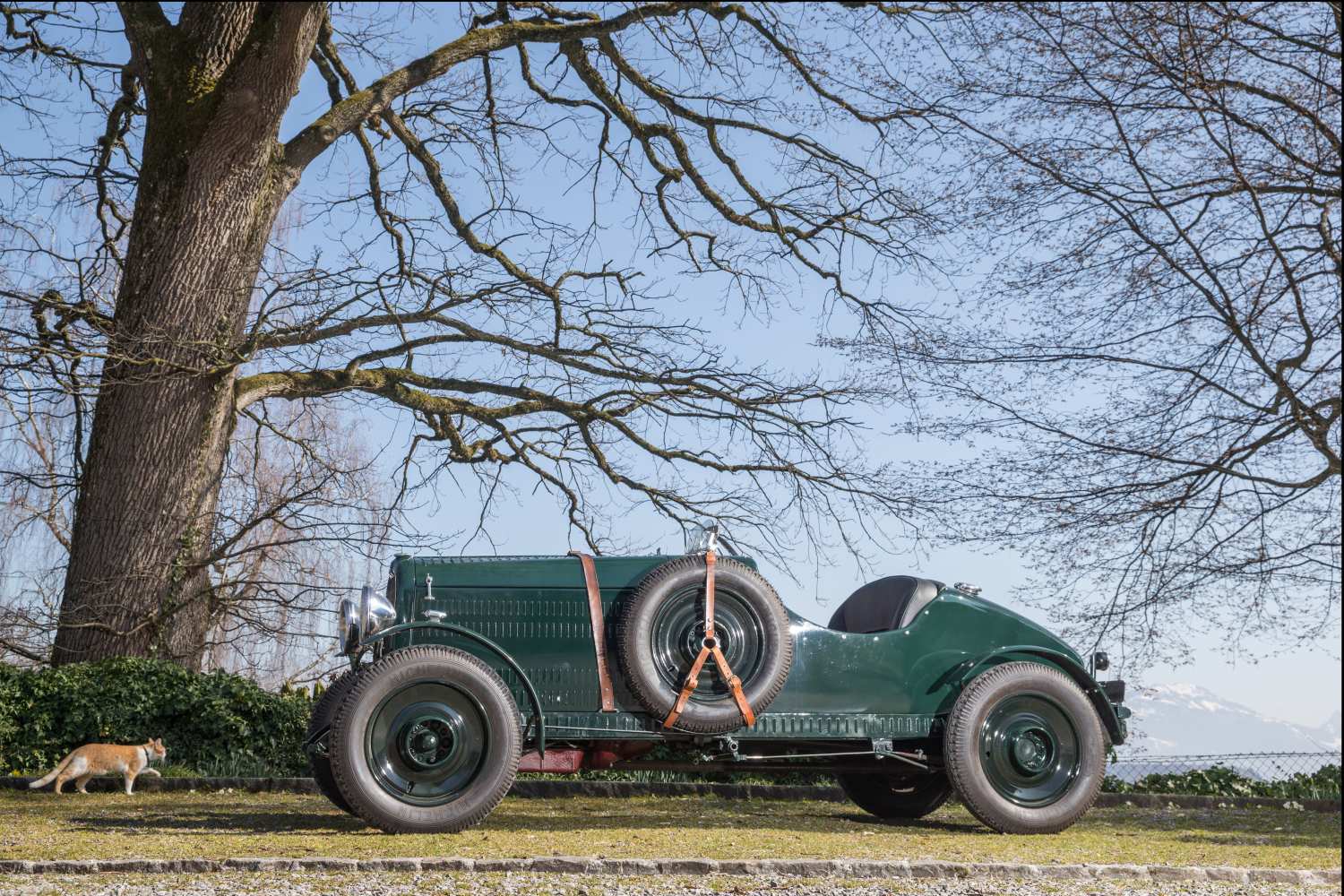 Delahaye 122 Brookland Special, Jg. 1933Chassis-Nummer: 42342 Motor-Nummer: 122289 - Schön - Image 13 of 23