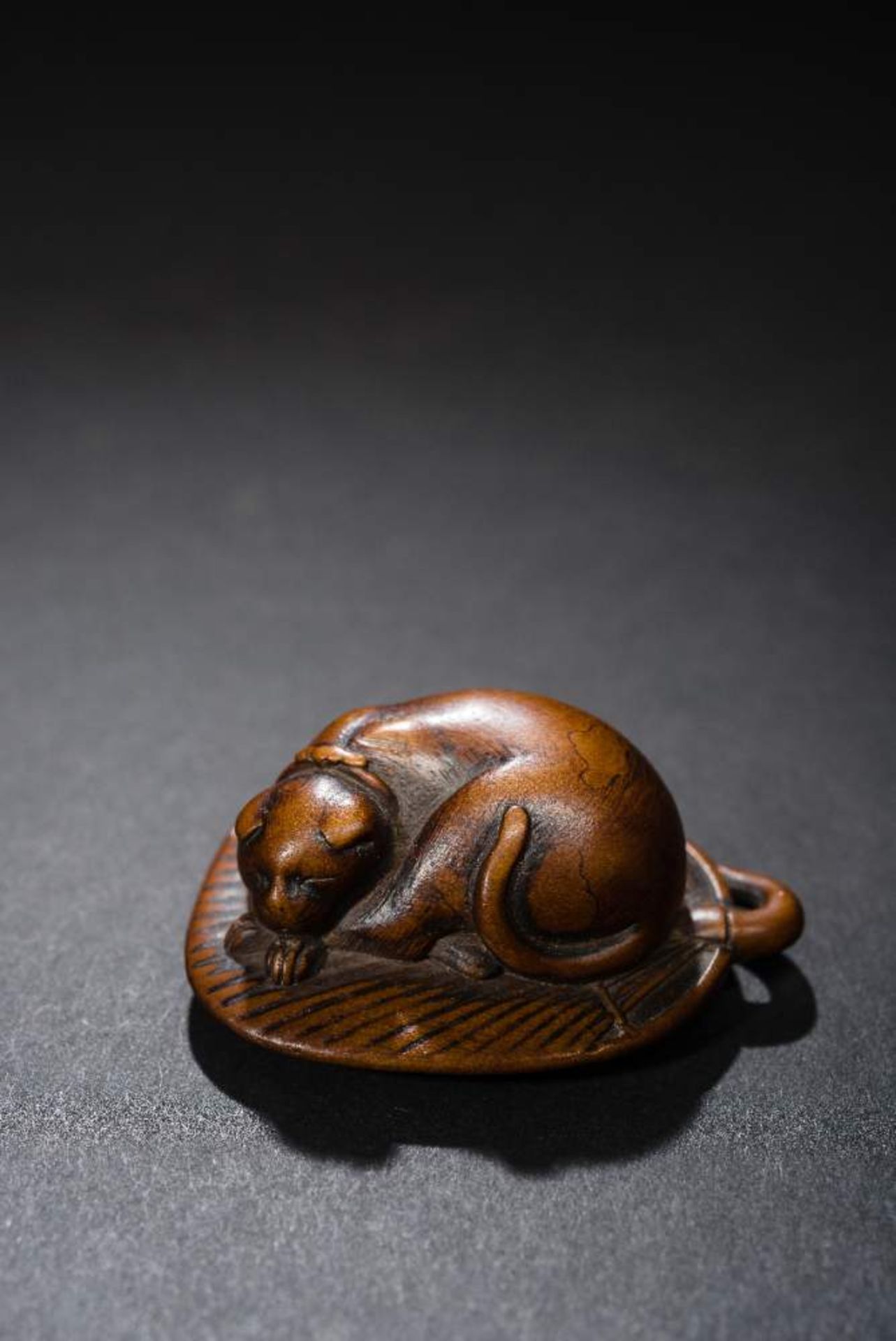 KATZE SCHLÄFT AUF FÄCHERNetsuke, Holz. Japan, fr. 19. Jh.Eine sehr gute alte Darstellung, formal - Image 4 of 6