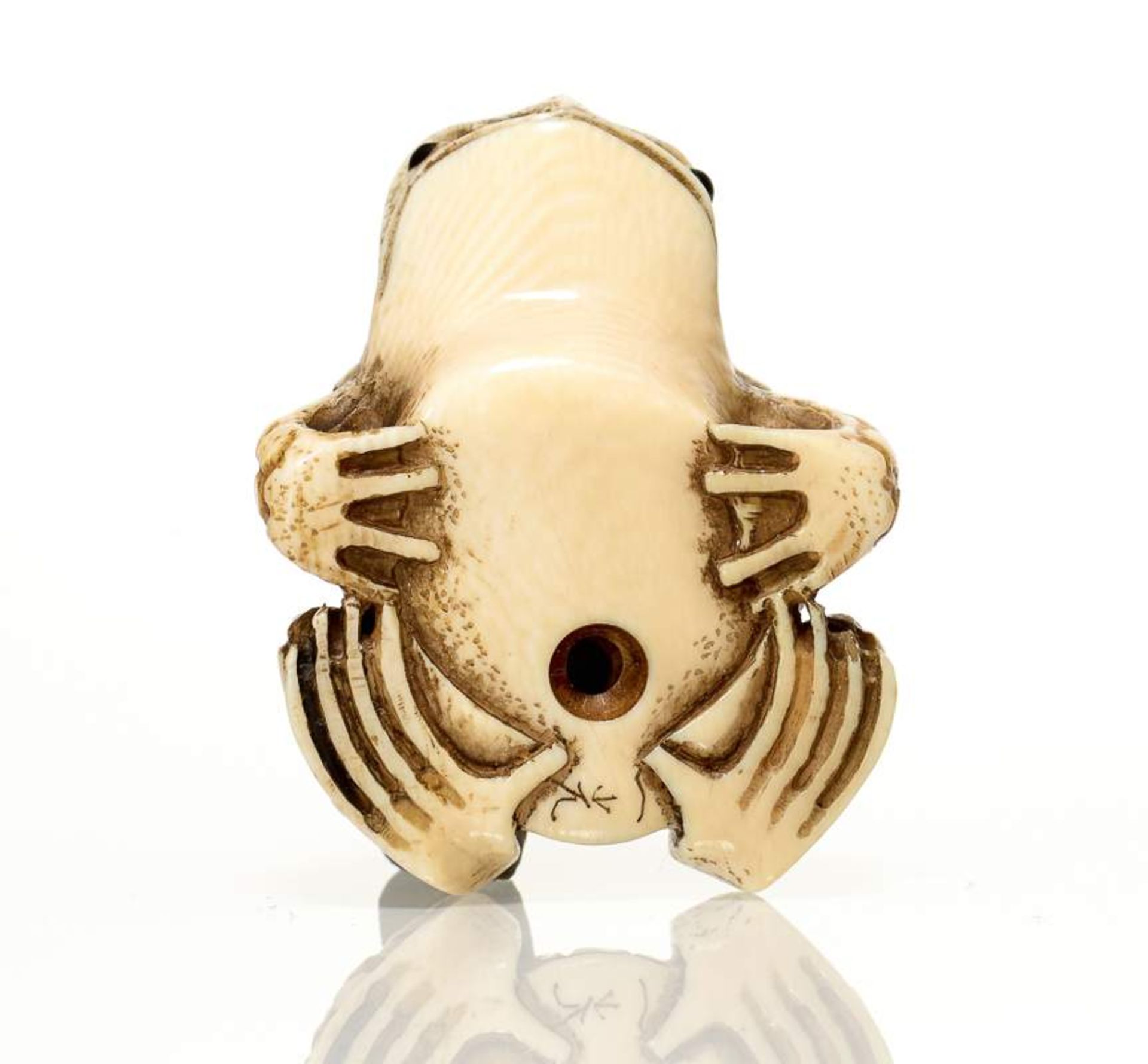 IKKO: KRÖTE GAMA Netsuke, ivory. Japan, spätes 19. Jh. Die Kröte Gama ist ein Langlebenssymbol - Image 6 of 11