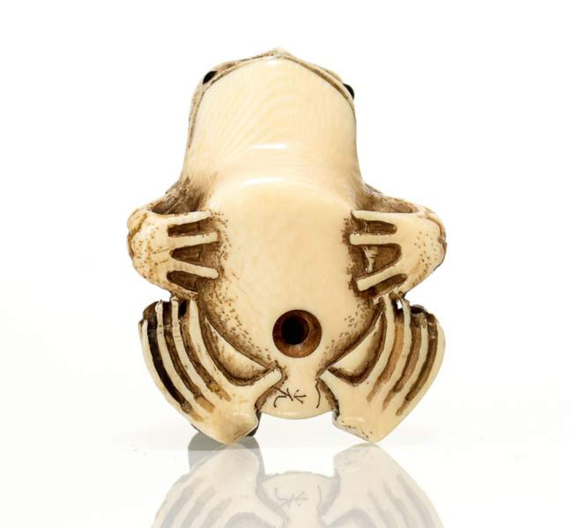 IKKO: KRÖTE GAMA Netsuke, ivory. Japan, spätes 19. Jh. Die Kröte Gama ist ein Langlebenssymbol - Image 11 of 11