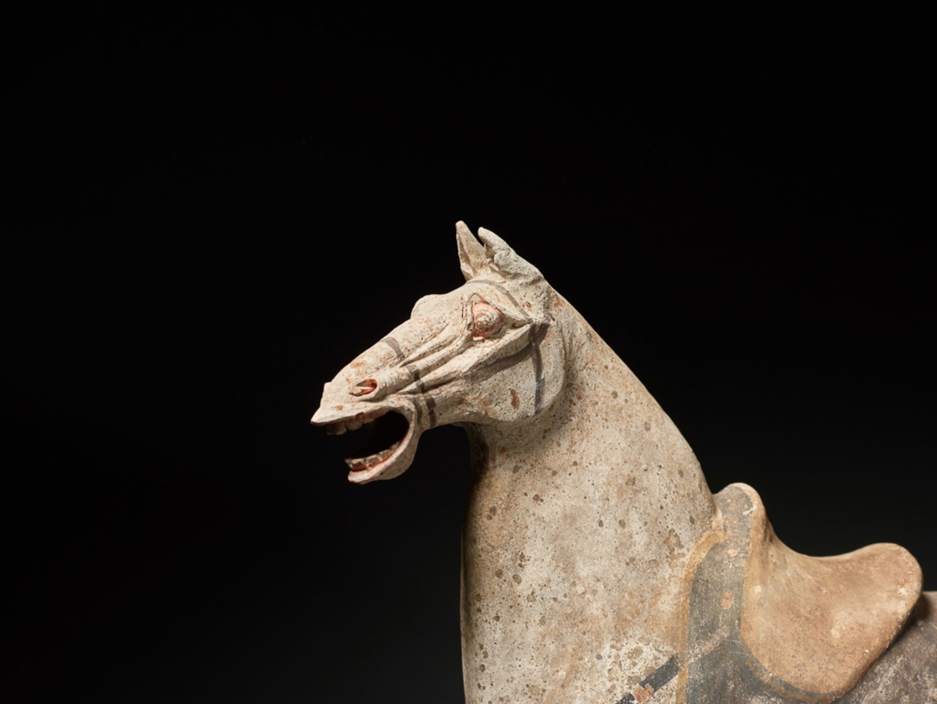 GESATTELTES PFERD Terrakotta mit Bemalung. China, Tang-Dynastie (618 - 905) Dieses Pferd hat einen - Bild 3 aus 4