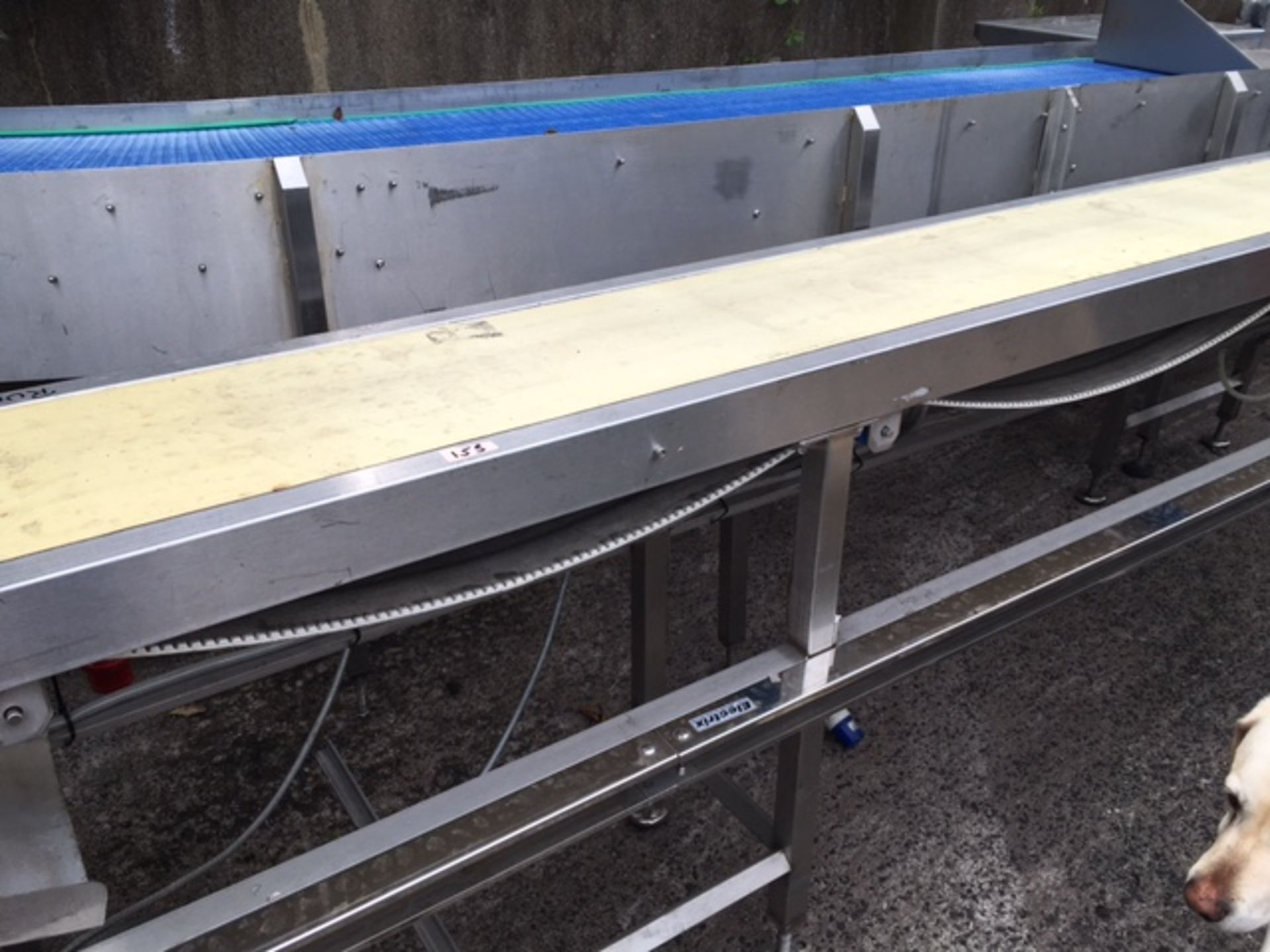 Conveyor with Roller System - Image 3 of 6
