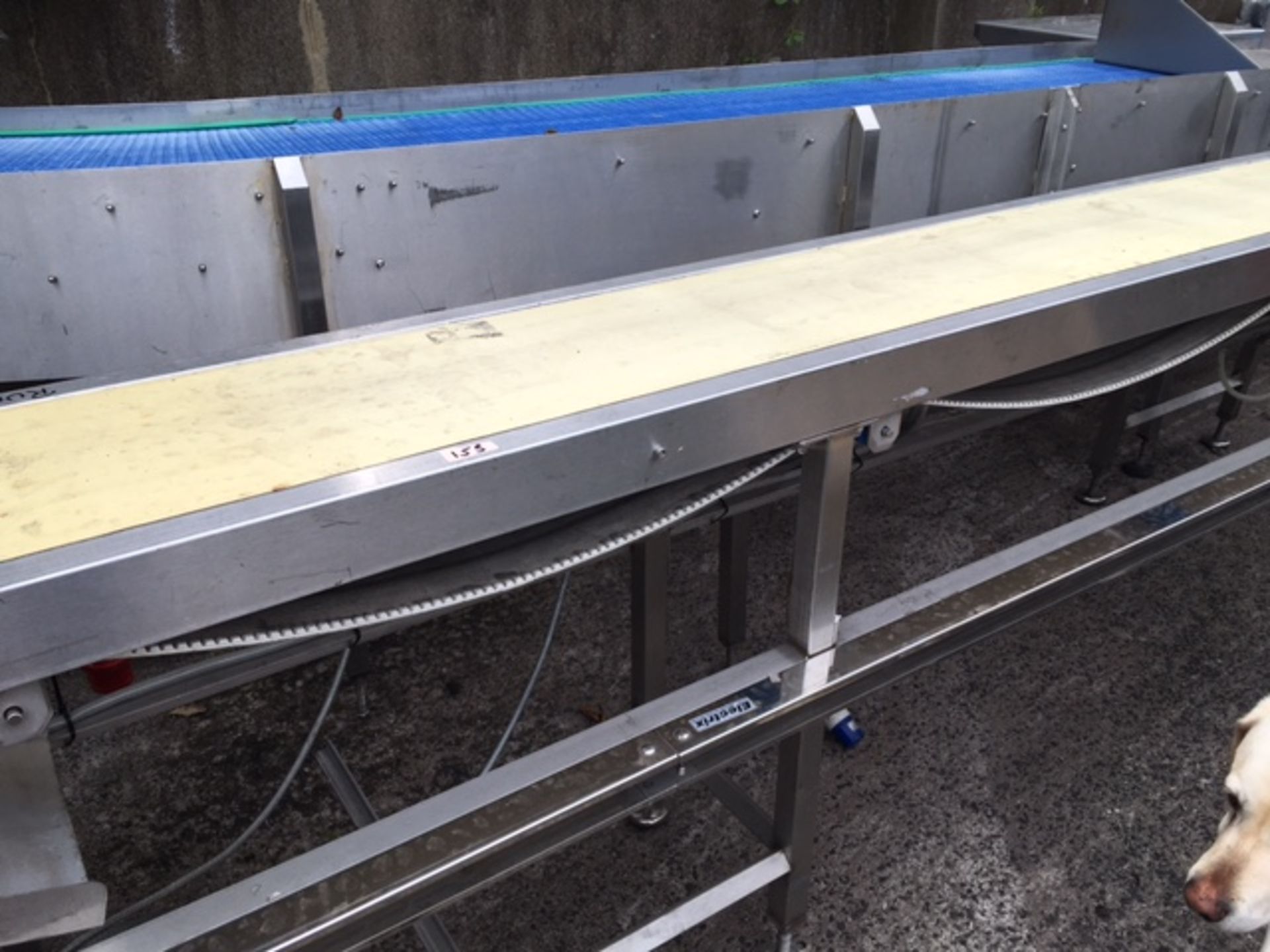 Conveyor with Roller System _x00D_ 300mm Wide PU Belt, Stainless Roller System - Image 3 of 4