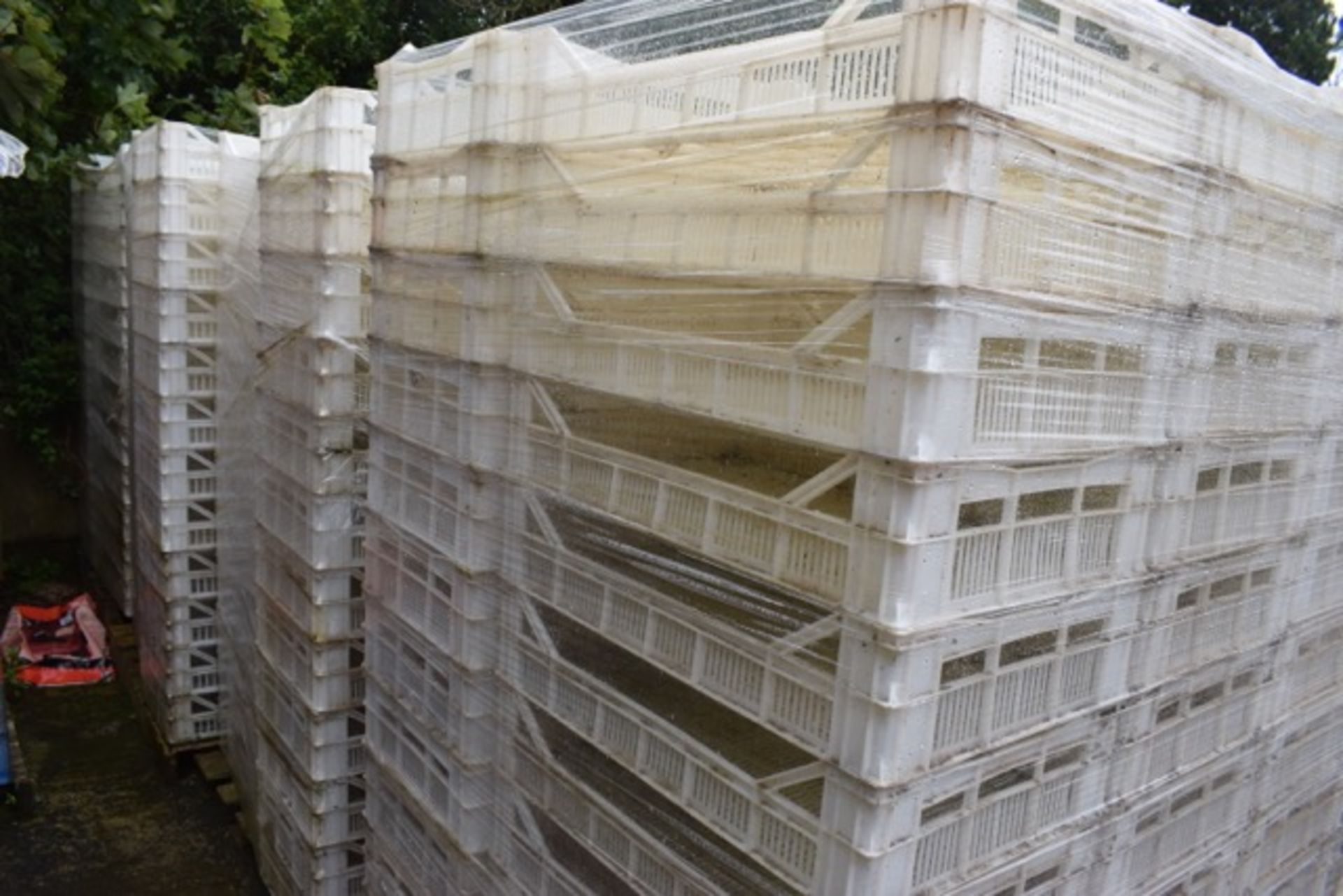 Approx 12 Pallets of Chitting Trays - Image 2 of 3