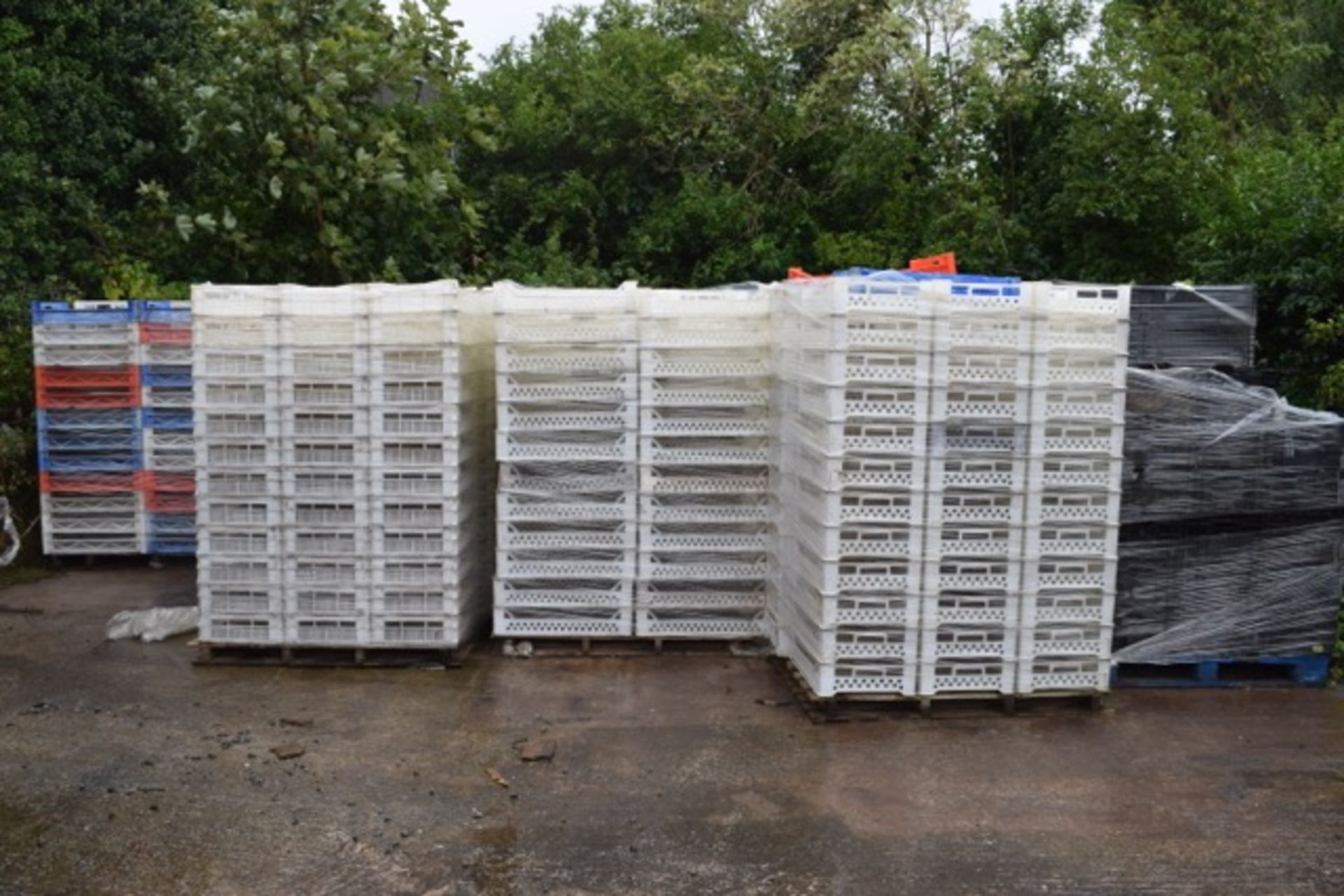 Approx 12 Pallets of Chitting Trays