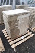 16 - 900mm x 600mm paving slabs