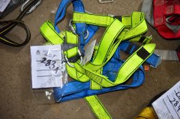 Full rescue harness FLGH202