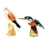 A Beswick Kingfisher, 2371, and a Beswick Falcon,