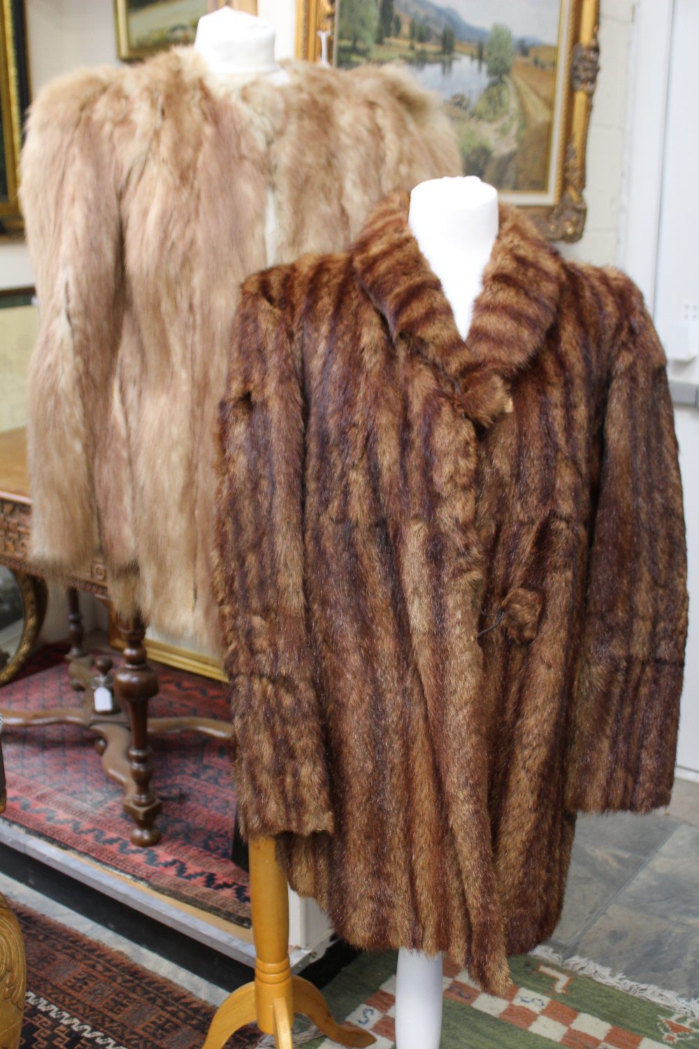 A 1930s shaded musquash 3/4 coat, worn on pockets and down front, large buttons,