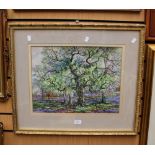 A framed and glazed watercolour, John Spencer, blue bells in woodland 'Longshaw,