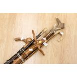 A collection of eight walking sticks, including carved bamboo,