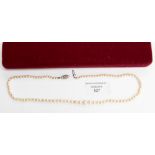 A graduated cultured pearl necklace of good quality on 9 ct white gold chain