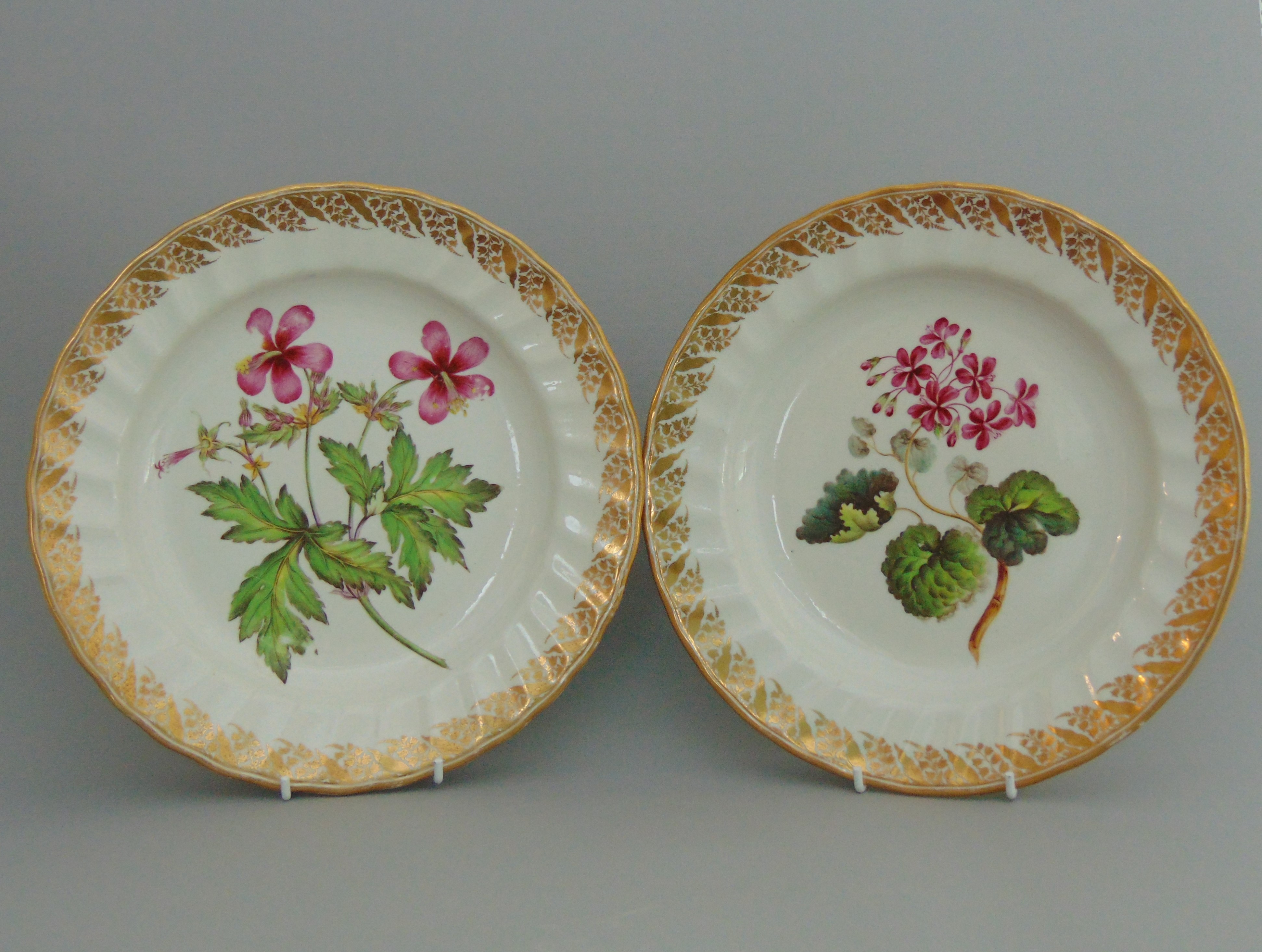 A pair of Derby botanical plates, centres painted with Geraniums & Anemone leaved Geranium,