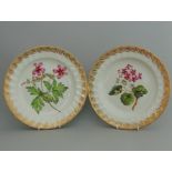 A pair of Derby botanical plates, centres painted with Geraniums & Anemone leaved Geranium,