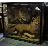 Taxidermy: a large cased taxidermy, having a arrangement of British wild animals and birds,