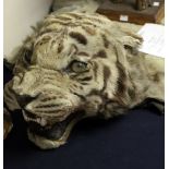 Taxidermy: a late 19th or early 20th Century taxidermy tiger skin rug