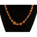 An Art Deco 1930s graduated amber necklace with 9 ct gold clasp, approx. gross weight 20.