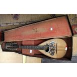 A cased mandolin