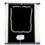 A cased set of Momme Tomo pearls, clasp marked 750, with guarantee, approx 18 inch length,