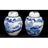 A pair of blue and white Chinese ginger jars,